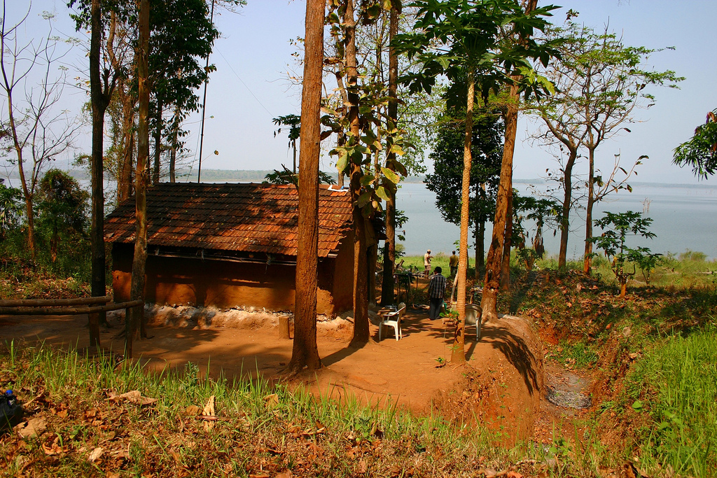 ಭದ್ರಾ ಅಭಯಾರಣ್ಯದಲ್ಲಿ ಮೋಜು ಮಸ್ತಿ